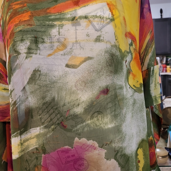 Lane Bryant Multicolor Sheer Blouse - Picture 4 of 6